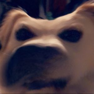 Meet your Posher, Jay